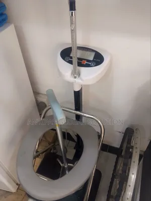 Electronic Body Scale