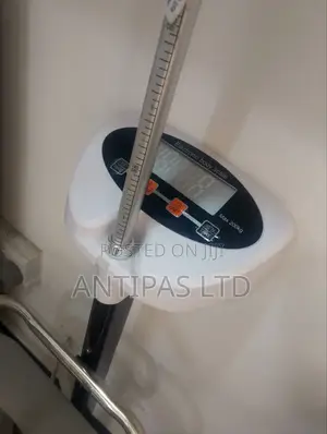 Electronic Body Scale