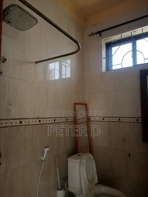 1bdrm Apartment in Sinza for rent