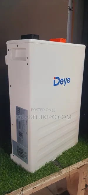 Deye Lithium Iron Phosphate Battery 51.2v100ah5 5KWH