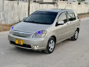 Toyota Raum 2004 Gray