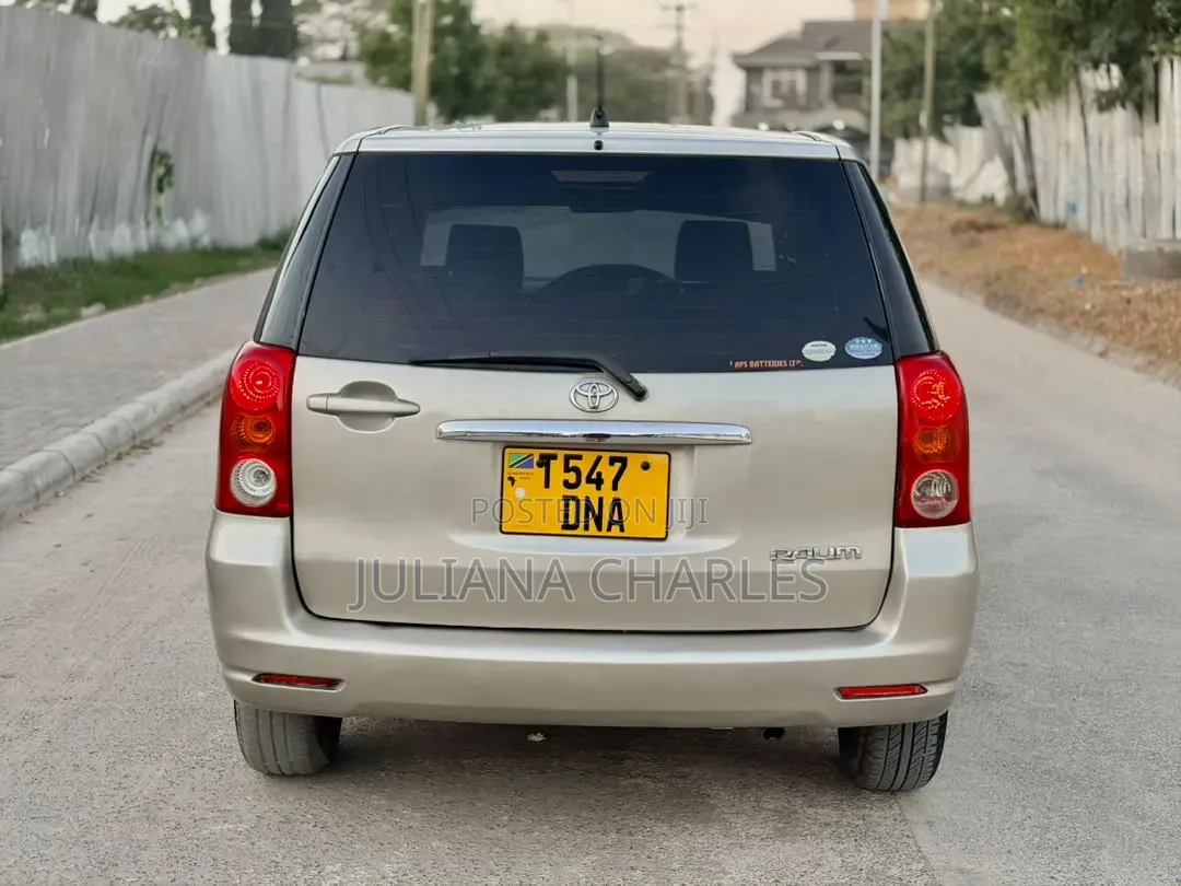 Toyota Raum 2004 Gray