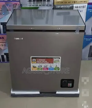 Snowsea 160L (BD16S) Freezer