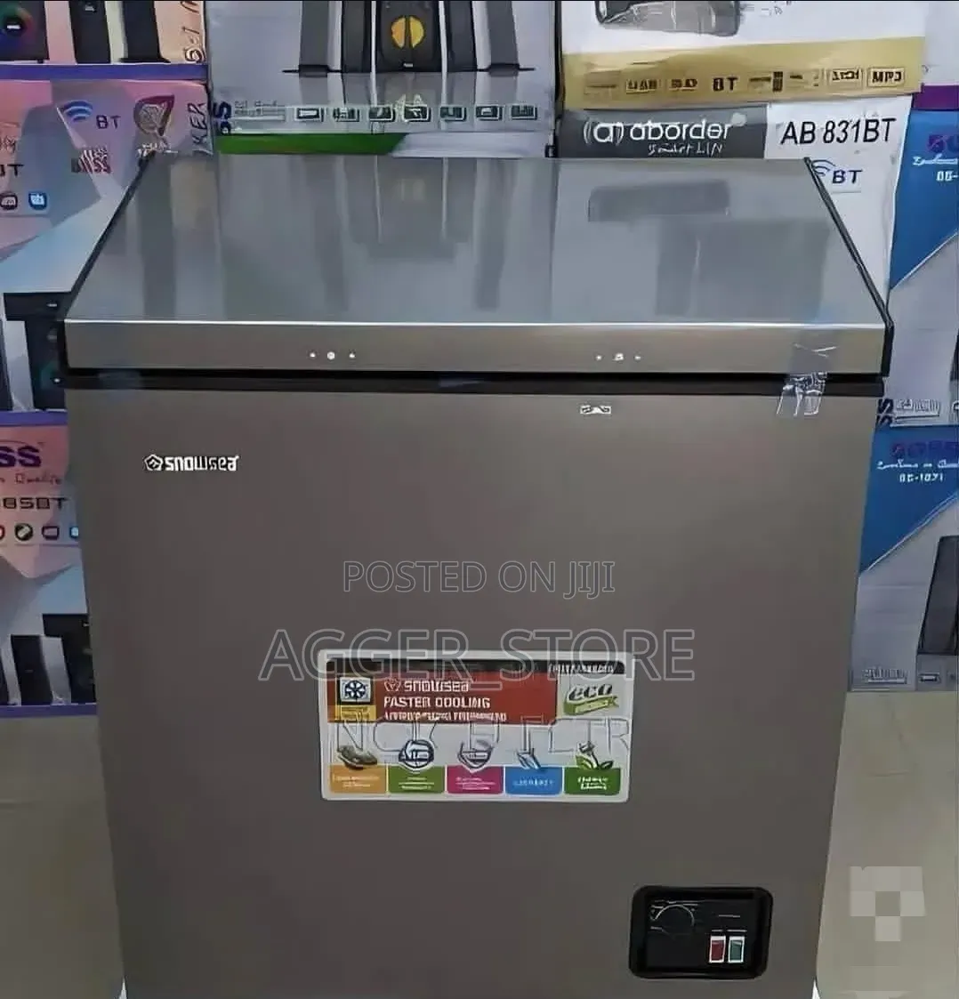 Snowsea 160L (BD16S) Freezer