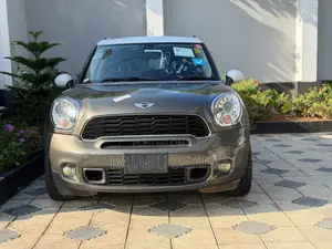 Mini Countryman 2011 Gray