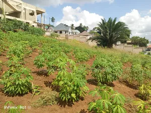 Plot for Sale at Bonyokwa