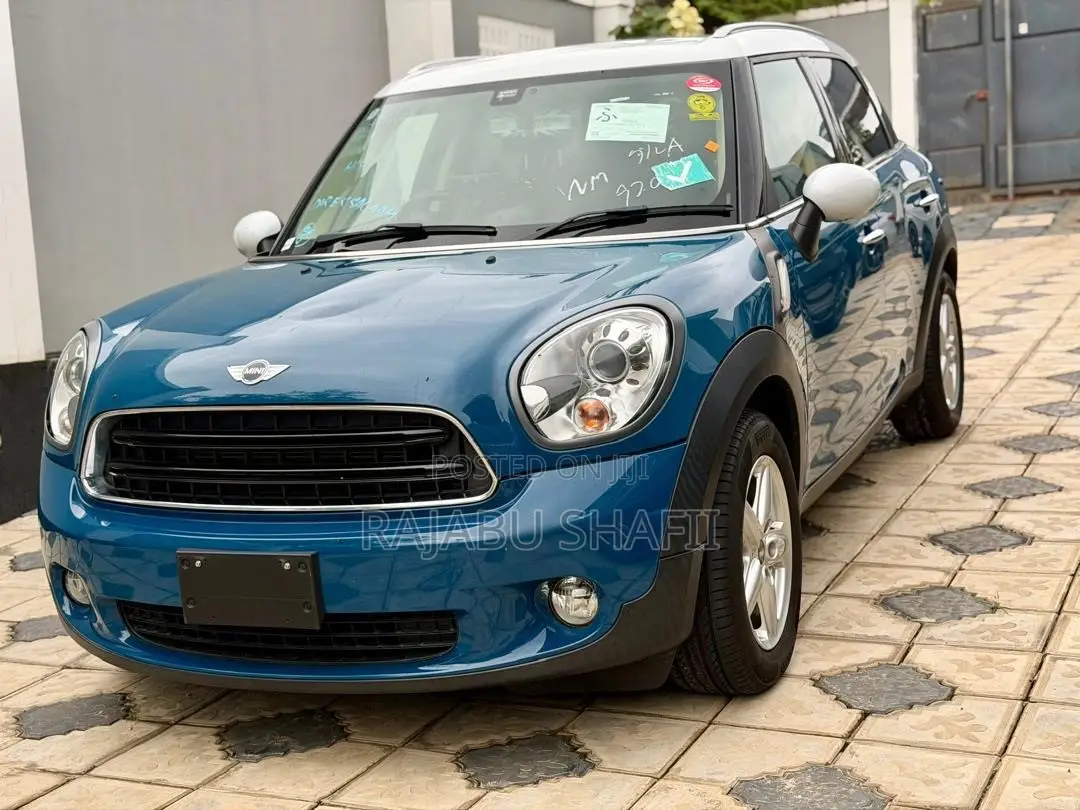 Mini Countryman 2012 Blue