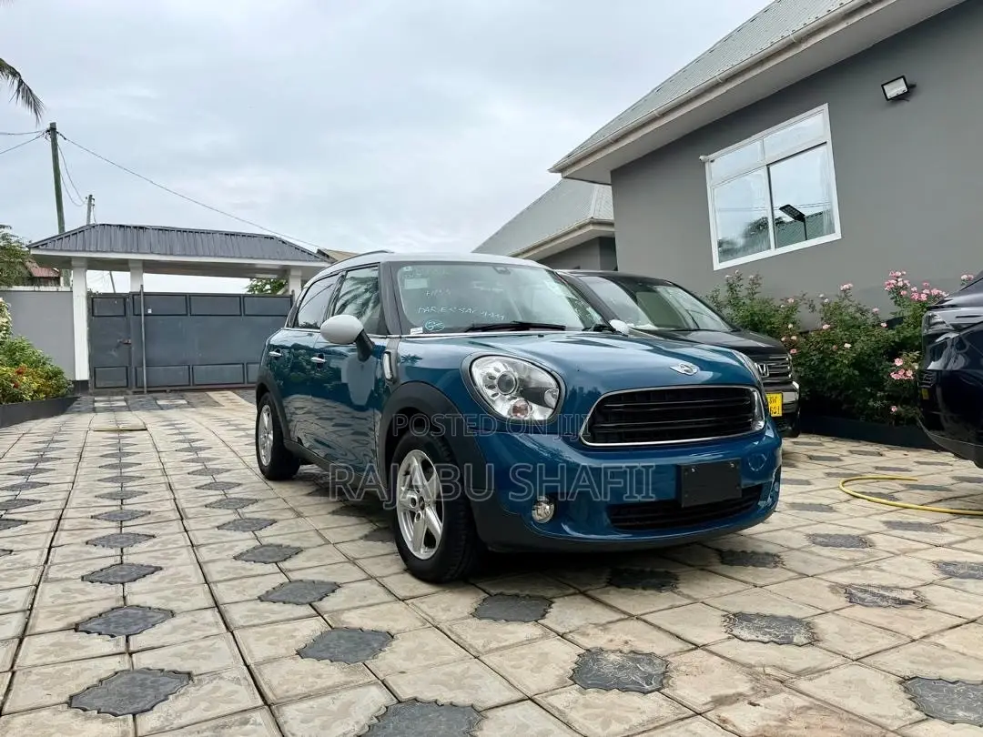 Mini Countryman 2012 Blue