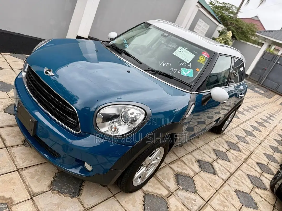 Mini Countryman 2012 Blue