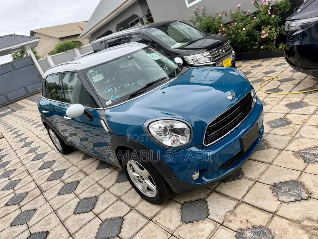 Mini Countryman 2012 Blue