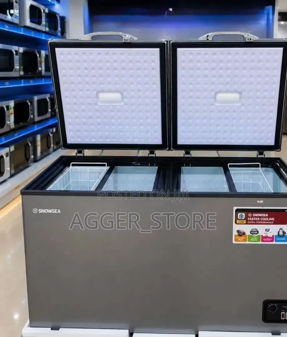 Snowsea 450L (BD45G) Freezer