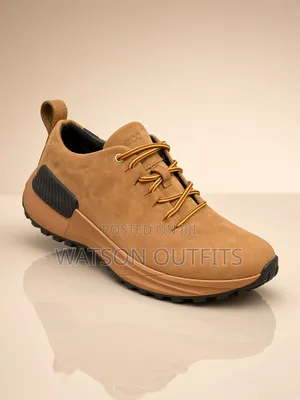 Men's Leather Shoes or Casual Footwears New and Original Ecco 4 Colors