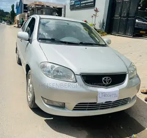 Toyota Vios 2003 Gray