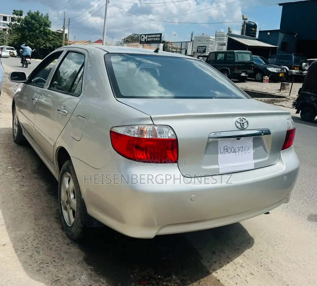 Toyota Vios 2003 Gray