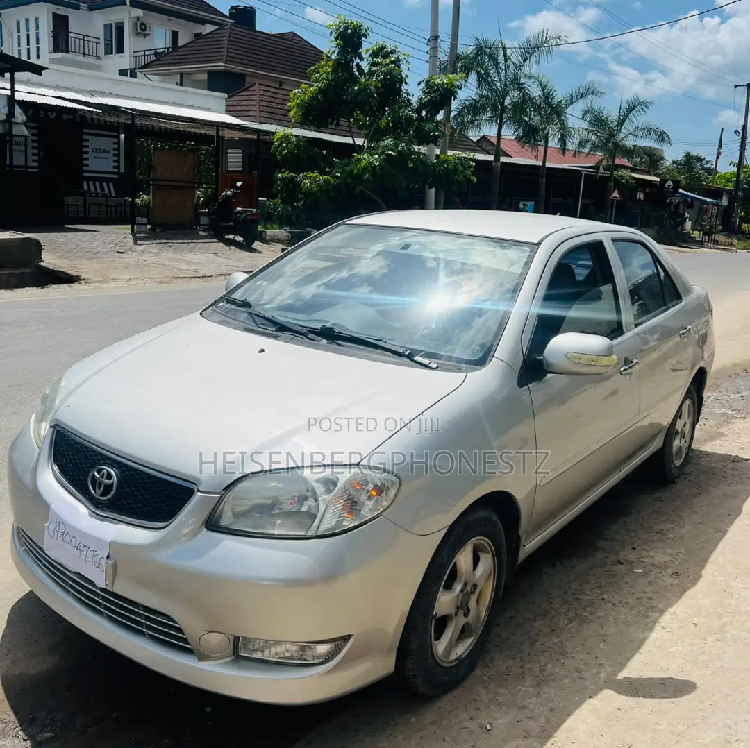 Toyota Vios 2003 Gray