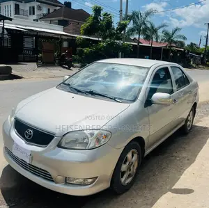 Toyota Vios 2003 Gray