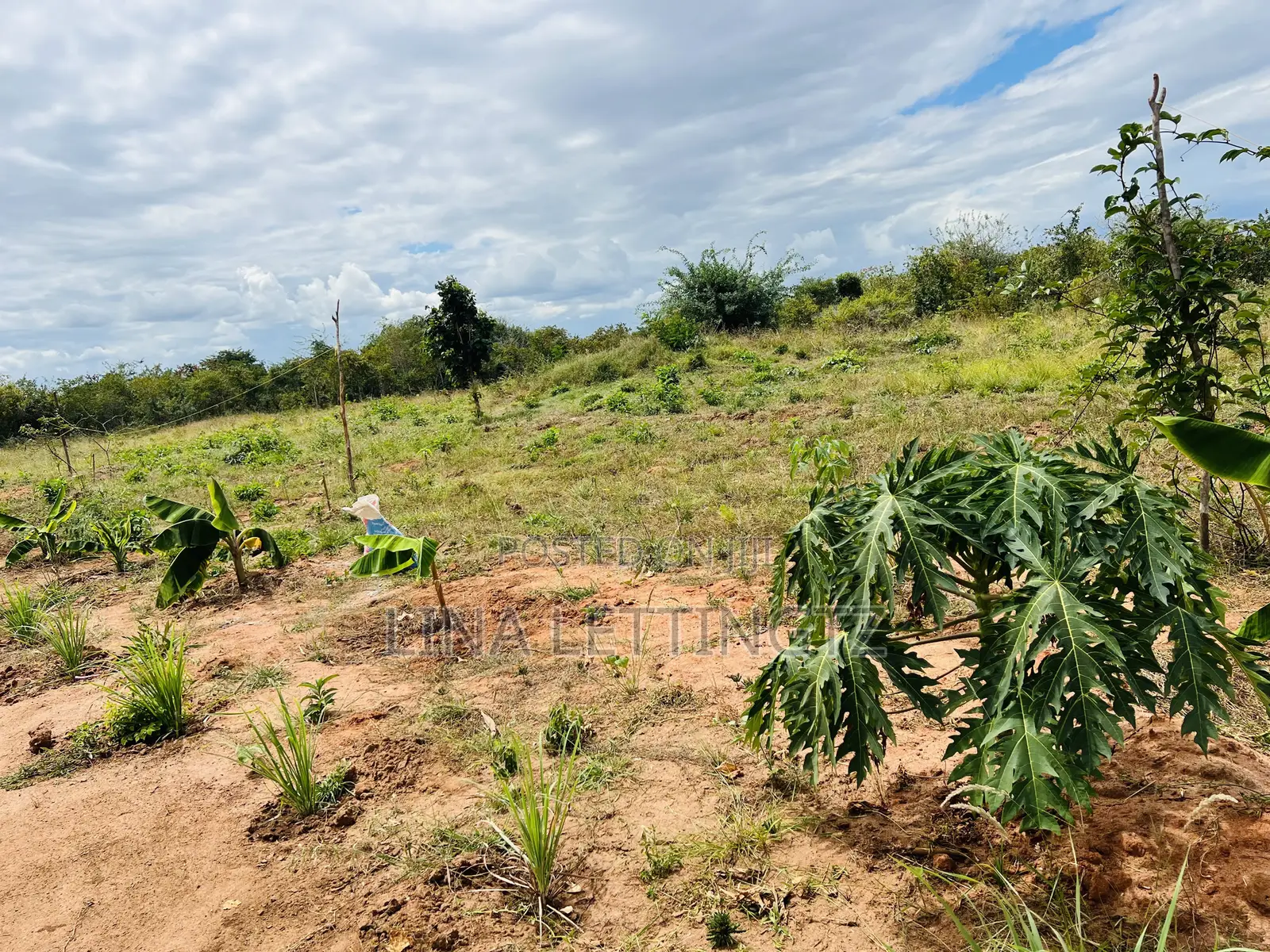 Selah Farmstay Chalinze