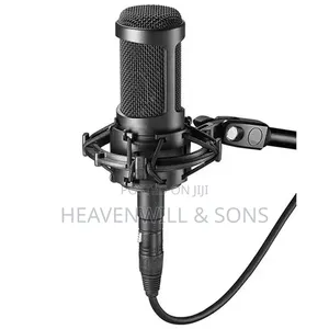 AUDIO TECHNICA AT2035 Professional Studio Condenser Microphone