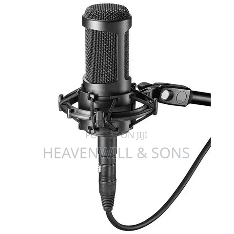 AUDIO TECHNICA AT2035 Professional Studio Condenser Microphone