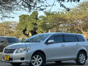 Toyota Corolla Fielder 2009 Silver