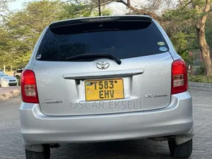 Toyota Corolla Fielder 2009 Silver