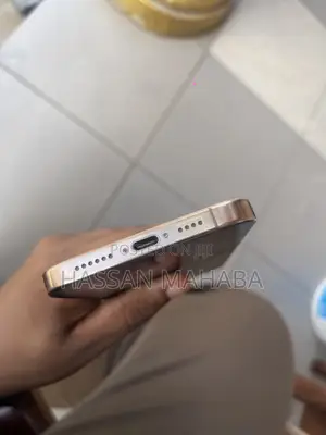 Apple iPhone 16 Pro Max 256 GB Rose Gold
