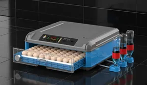 Incubator Mayai 60
