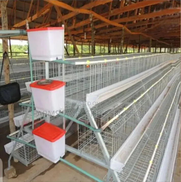 Cage Kuku 96