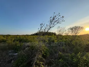 Plot for Sale at Makunduchi Zanzibar