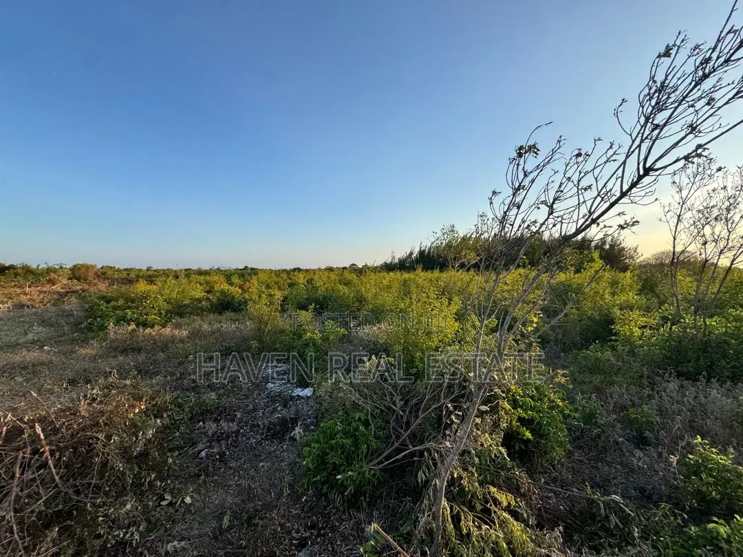 Plot for Sale at Makunduchi Zanzibar