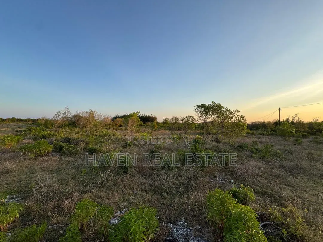Plot for Sale at Makunduchi Zanzibar