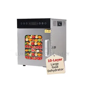 Commercial Food, Fruit and Vegetable Digital Dryer Machine - 10 Layers