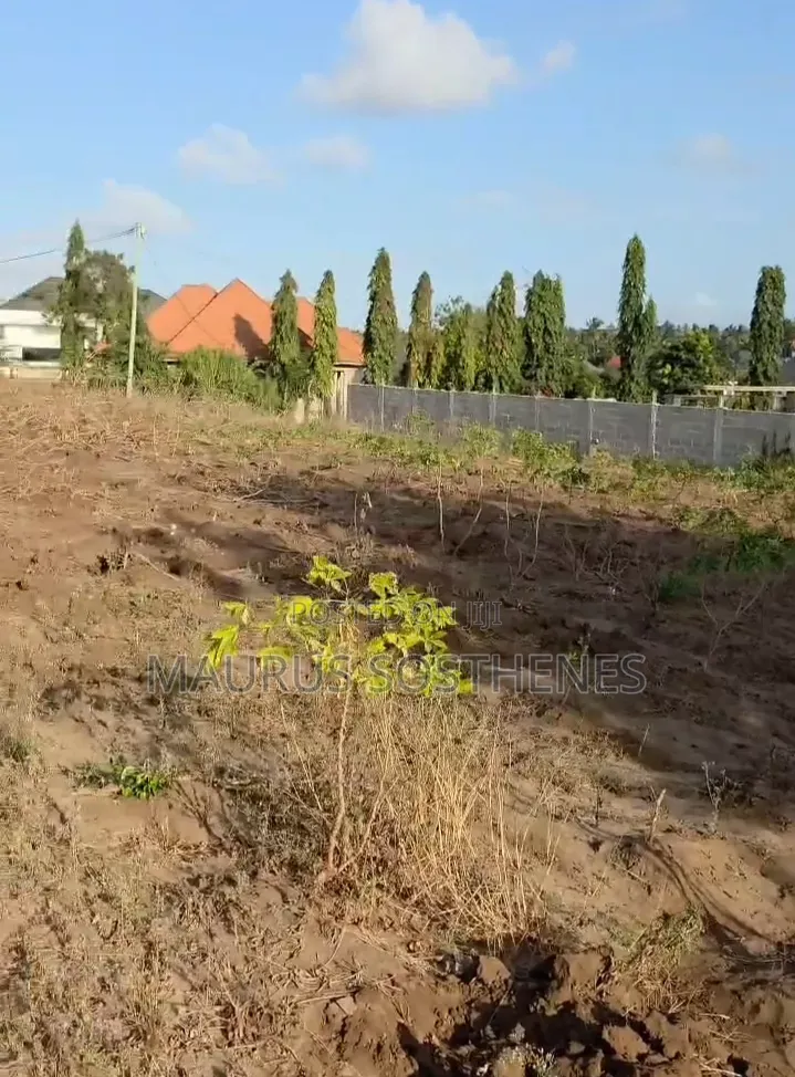 Plot for Sale