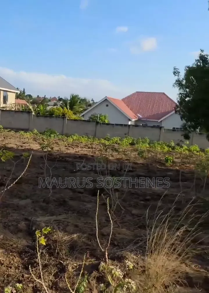 Plot for Sale