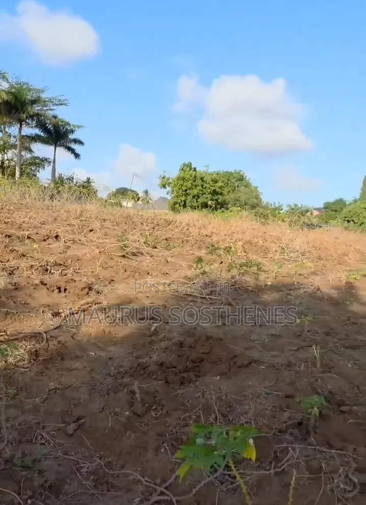 Plot for Sale