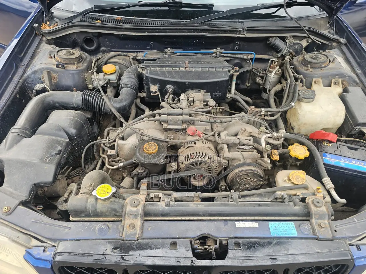 Subaru Forester 2003 Blue