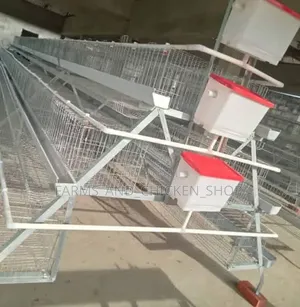 Cage Ya Kuku 120