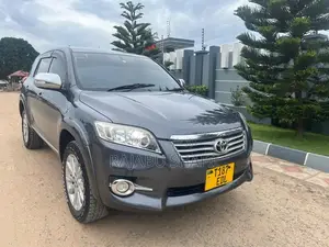 Toyota Vanguard 2009 Gray