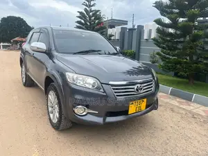 Toyota Vanguard 2009 Gray