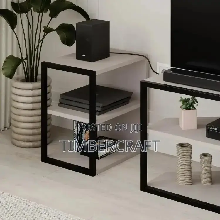 Echo TV Unit