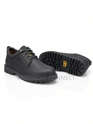 Sophisticated Luxury Shoes