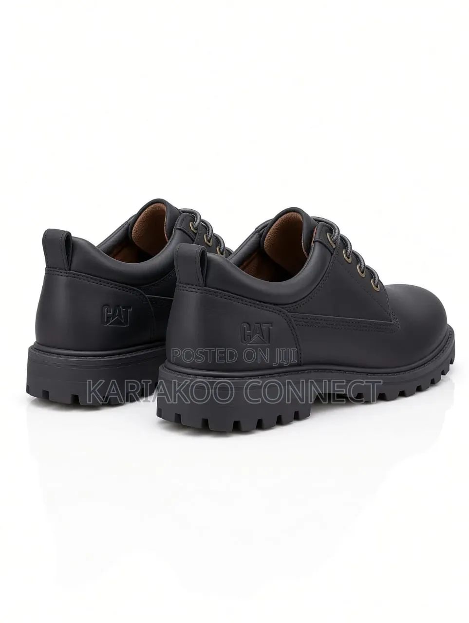 Sophisticated Luxury Shoes