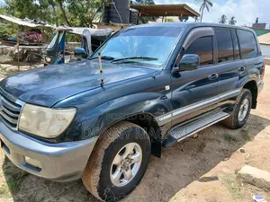 Toyota Land Cruiser 2008 Blue