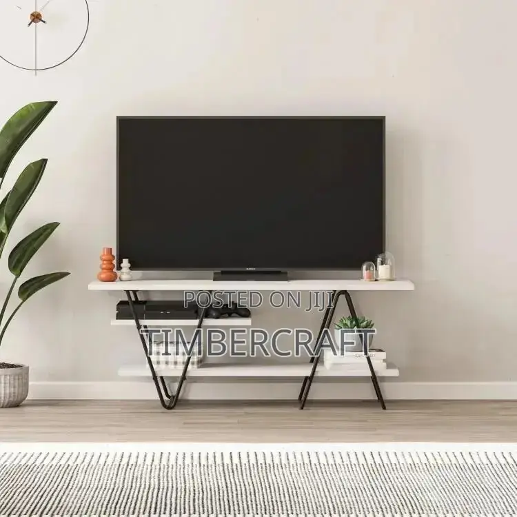 Essel TV Unit