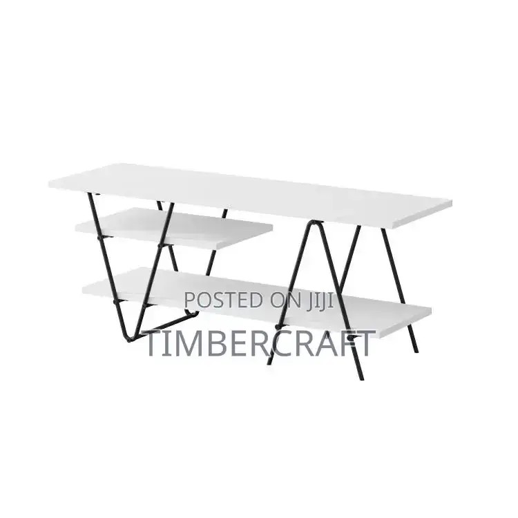 Essel TV Unit