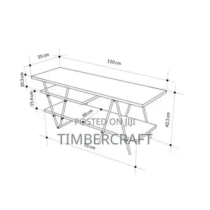Essel TV Unit