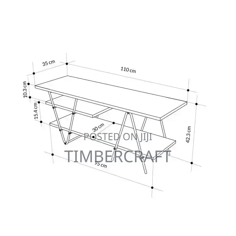 Essel TV Unit