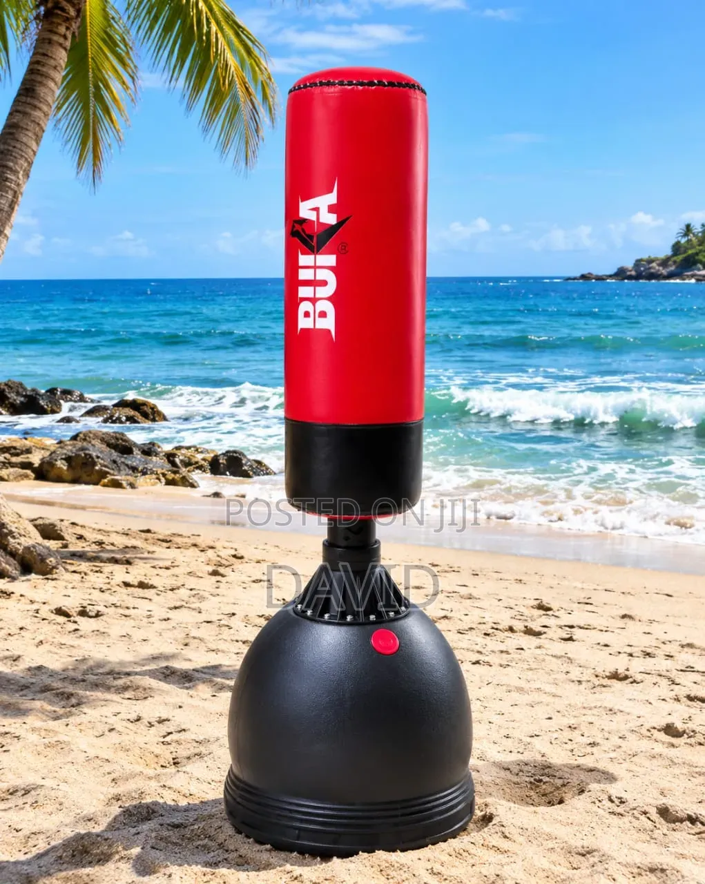 Standing Punching Bag