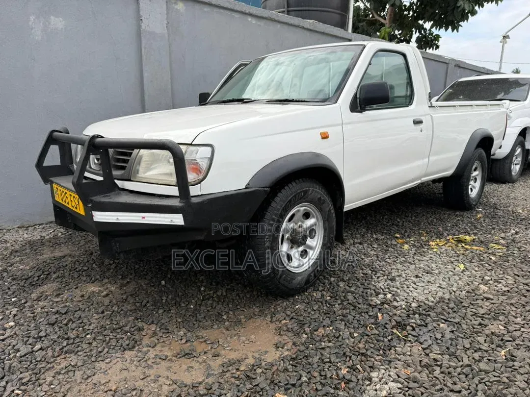 Nissan Hardbody 2008 White