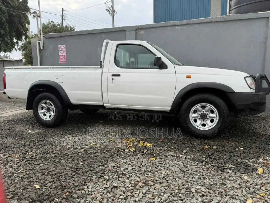Nissan Hardbody 2008 White